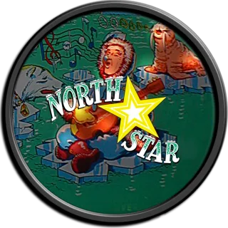 Logo North Star